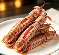 Mantis Shrimp